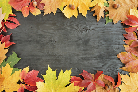 Bright autumn leaves frame the black old wooden surface with a copy of the spaceの写真素材