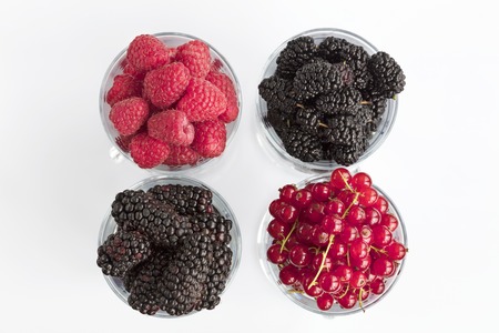 Raspberry, a big black blackberry, red currant and mulberry are poured into transparent glass cups for lattes and stand in a row on a light background, the image in a high keyの写真素材