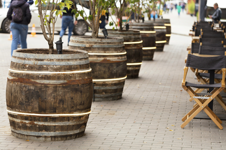 Large wooden old wine barrels with rusty metal hoops serve as pots for young trees and stand along a street cafeの写真素材