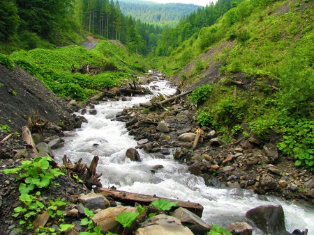 The clear water of a mountain river passes through a cascade of boulders along winding canyons between the hills of the Carpathian Mountains.の写真素材