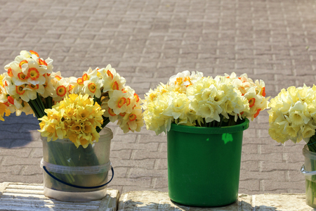 Bouquets of yellow daffodils of various kinds stand in plastic buckets and are sold on the market against the background of paving slabs in a blur with a copy space.の写真素材