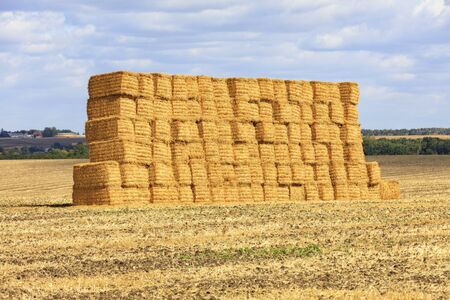 A large stack of straw is neatly folded in the field after harvesting the wheat and shines gold in sunlight.の写真素材
