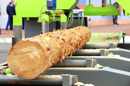 Woodworking, lumber, pine boards will be made from large logs at a modern automatic sawmill.の写真素材
