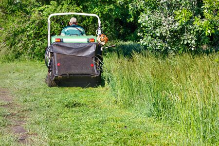Mowed green grass gathers in the hopper of a professional lawnmower, which moves forward with a...