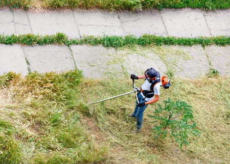 A service worker with a petrol industrial trimmer mows tall grass on the lawn of a city park along a pedestrian walkway. Copy space, top view.の写真素材