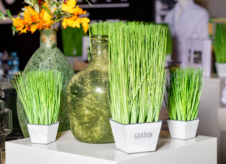Young green grass plants in square pots on a white glossy table with decorated old bottle vases and a yellow bouquet in blur.の写真素材