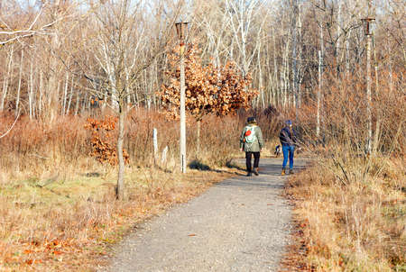 Rusty landscape of the old park in the dry winter season, a married couple of people walk along the...