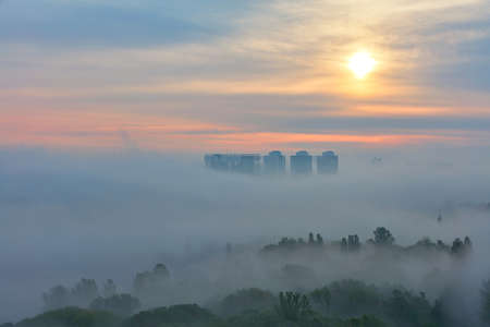 A thick fog spreads low among the trees of the city park in the early morning against the backdrop of the soft rays of the rising sun.の写真素材