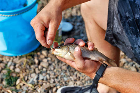 Male hands remove fish from the hook against blurred background of pebble beach and blue fishing...