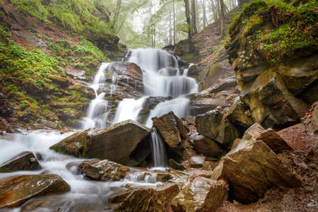 In early spring, the waters of the mountain river rush in a cool and fresh stream through the rocky path of the forest slope among the green foliage.の写真素材
