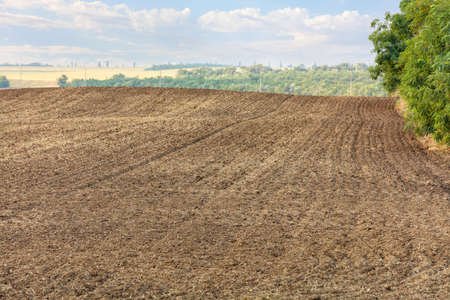 An endless field with long rows of plowed brown earth against a summer landscape and greenery on the...
