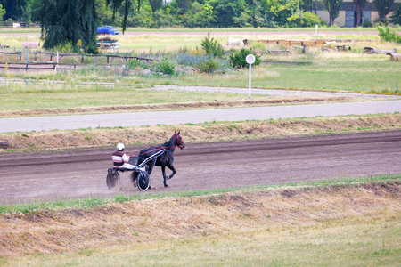 A chariot jockey on a treadmill warms up his horse by running on a summer day, kicking up a cloud of...
