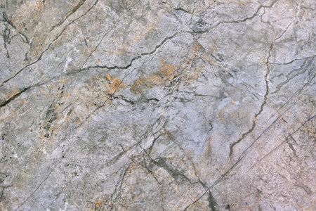 Stone textural granite polished surface of a gray-green hue with various stripes, cracks and inclusions.の写真素材