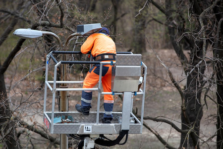 In a bright orange safety suit, worker on an elevated platform repairs streetlight surrounded by bare trees, maintenance task, outdoor scene conceptの写真素材