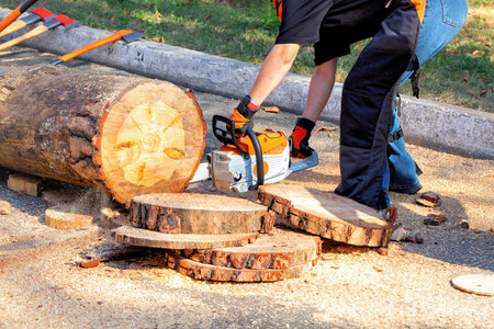A woodworker skillfully operates a chainsaw, cutting a large log into neatly sliced wooden rounds on a bright, sunny day. The scene captures the focus and precision involved in this craft.の写真素材