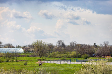 Under a dramatic sky, a farmer diligently works the land amidst lush green fields and budding trees, capturing the essence of springtime in a tranquil countryside setting.の写真素材