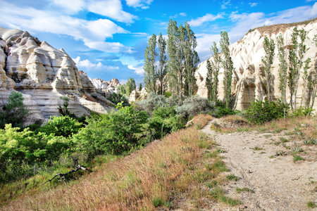 A captivating pathway meanders through striking rock formations adorned with greenery, bathed in the warm light of midday. Tall trees stand proudly against a backdrop of fluffy clouds.の写真素材