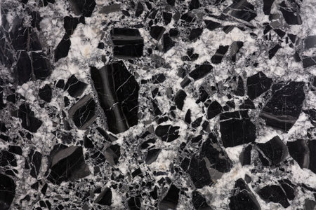 A stunning display of black and white stone with intriguing patterns and textures spread across the surface, creating a natural art piece.の写真素材