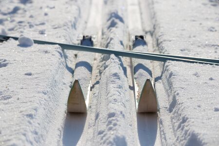 Cross-country skis on track at sunny winter day. Touristic equipment for promenade and healthy...