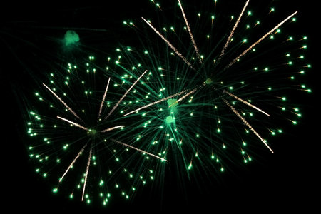 Festive fireworks against the backdrop of a black sky. green fireworks.の写真素材