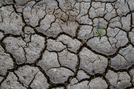 Cracked land during drought. The texture of cracks in the soil.の写真素材