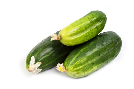 Three cucumbers on a white background. Natural cucumbers grown in the field on the farm.の写真素材