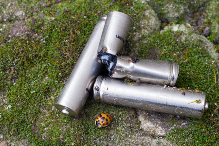 Old batteries with insects in the foreground. Harm to nature from used batteries.