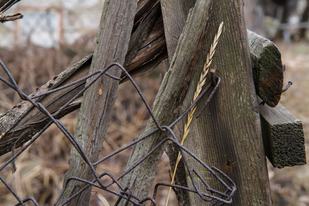 Old wooden fence with barbed wire in the countryside. selective focus.の写真素材