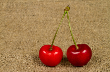 Red cherries on a burlap background. close-up.の写真素材