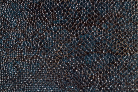 Texture with imitation of reptile skin in dark blue tones. Grainy background texture.