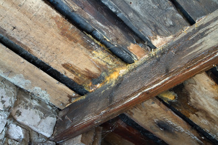 Floors of the old leaking roof. Wooden beams of a leaking roof.の写真素材