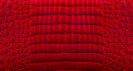 Red background texture made of reptile skin. artificial crocodile skin.の写真素材