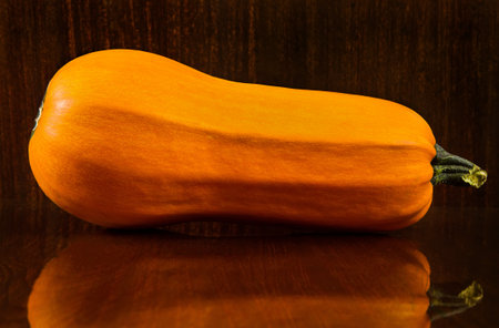 Orange pumpkin oblong shape on the background of the tree. Pumpkin on a dark background with a reflection in a polished surface.の写真素材