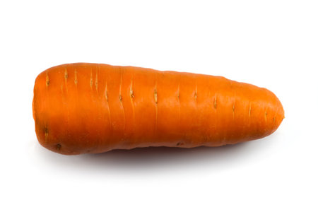 Carrots on a white background. Macro photography of a large carrot root crop. Vegetables on a white background.の写真素材