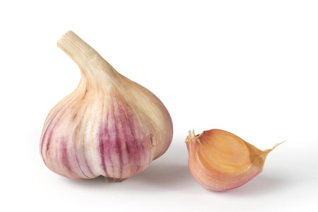 Garlic and garlic clove on white background. Natural organic garlic.の写真素材