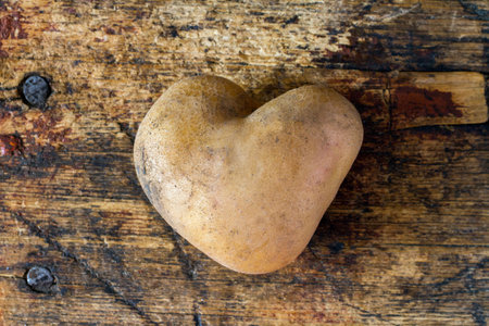 Potato tuber in the form of a heart against the background of old wood. Potato tube close-up.の写真素材