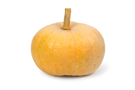 Round yellow pumpkin on a white background. Pumpkin isolated side view.の写真素材