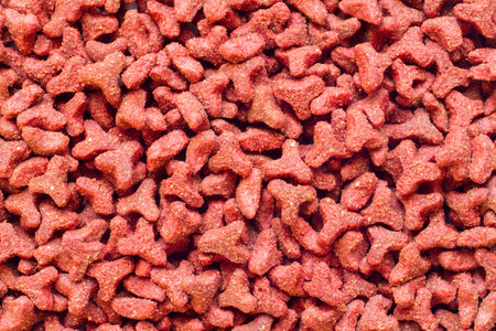 Dry red food for cats and dogs. Texture of pet food.の写真素材
