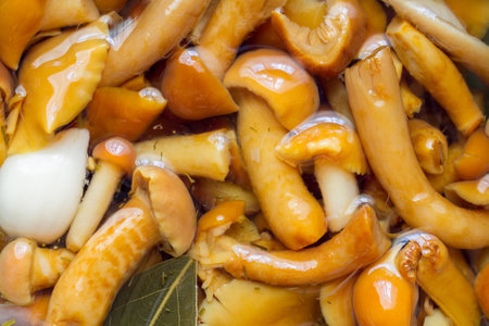 Pickled honey mushrooms close-up. Canned mushrooms in marinade.の写真素材