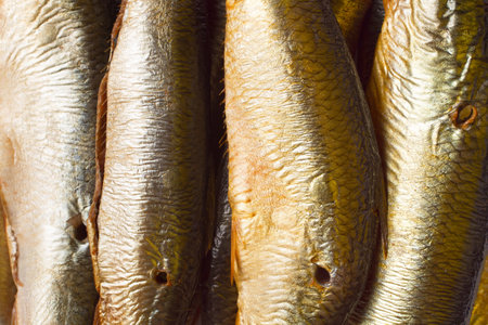 Close-up of smoked fish. A lot of large smoked fish.の写真素材