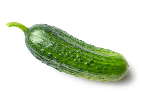 Fresh natural cucumber on a white background. Cucumber vegetable isolated with shade.の写真素材