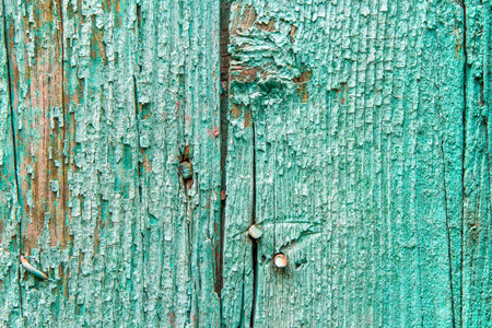Old peeling green paint on wooden boards. The texture of an old wooden surface.の写真素材