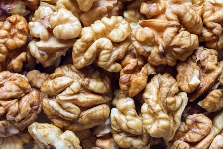 A lot of peeled walnuts close-up. Nuts without shellsの写真素材