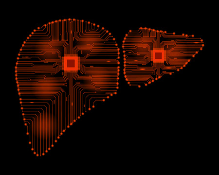 Abstract drawing of a liverのイラスト素材