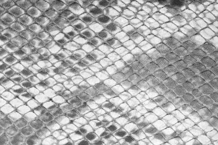 background texture