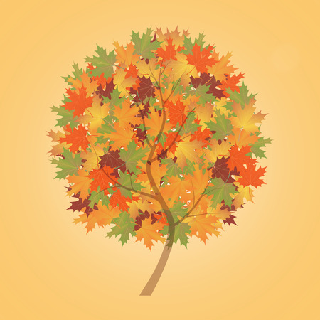 abstract autumn tree maple vector illustrationのイラスト素材