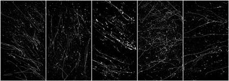 Set Of White Paint Splatter Isolated On Black Background. Distressed Overlay Texture. Water Splash Silhouette. Grunge Design Elements. Vector illustration, EPS 10.のイラスト素材