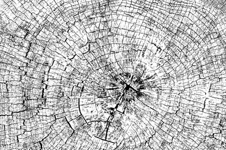Distressed wood texture. Black grain texture on white background. Dust overlay textured. grain noise particles. Rusted white effect. Grunge design elements. Vector illustration, EPS 10.のイラスト素材