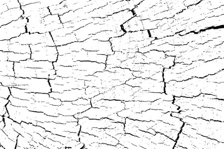 Distressed wood texture. Black grain texture on white background. Dust overlay textured. grain noise particles. Rusted white effect. Grunge design elements. Vector illustration, EPS 10.のイラスト素材