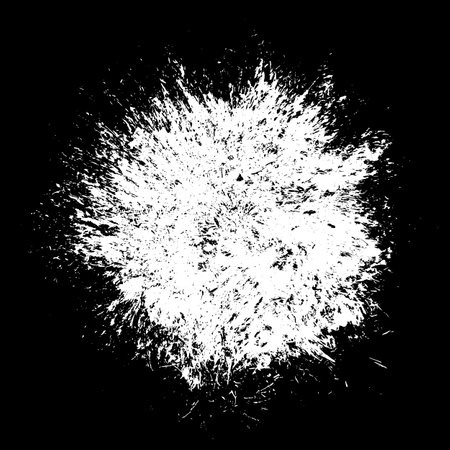 Scribble hand drawn in chalk on black background. Monochrome stain element. digitally generated image. Vector illustration, Eps 10.のイラスト素材